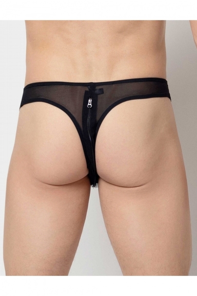 String Niklas - Patrice Catanzaro